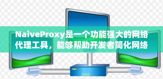 NaiveProxy是一个功能强大的网络代理工具，能够帮助开发者简化网络请求的处理流程。以下是使用NaiveProxy的分步指南