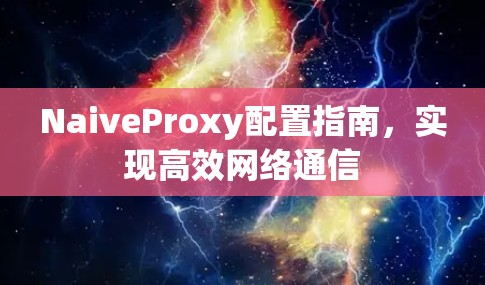 NaiveProxy配置指南,实现高效网络通信