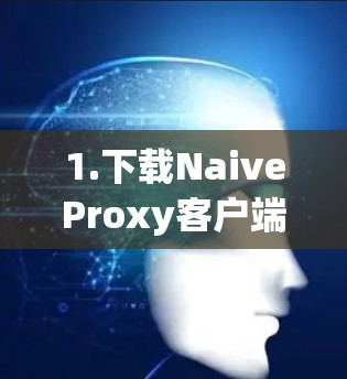 1.下载NaiveProxy客户端
