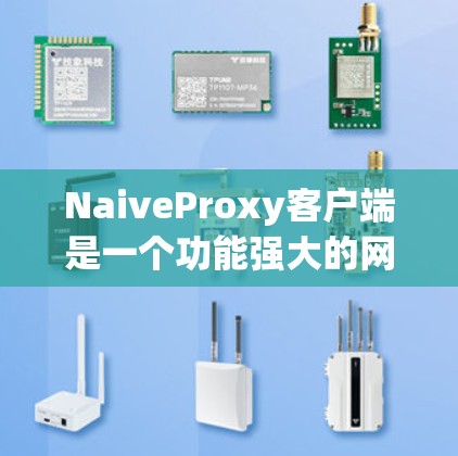 NaiveProxy客户端是一个功能强大的网络代理工具,主要用于安全测试和网络监控。以下是对其客户端功能的详细分析