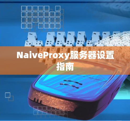 NaiveProxy服务器设置指南