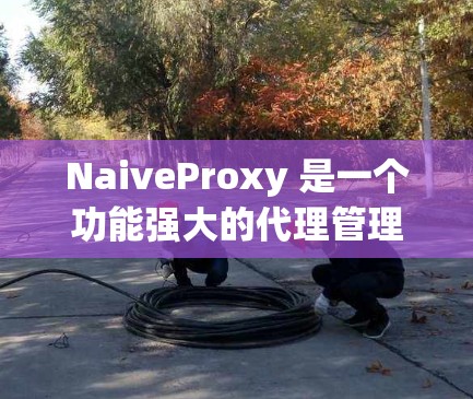 NaiveProxy 是一个功能强大的代理管理工具,适用于监控和管理多个代理服务器。以下是对 NaiveProxy 的详细分析和总结