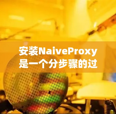 安装NaiveProxy是一个分步骤的过程，确保每一步都正确执行是关键。以下是详细的安装步骤