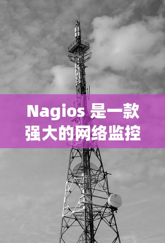 Nagios 是一款强大的网络监控工具，用于实时监控系统的性能和状态。以下是使用 Nagios 的步骤指南