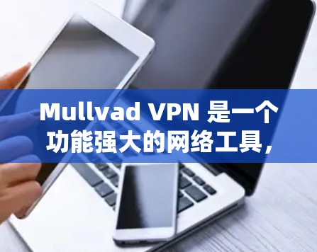 Mullvad VPN 是一个功能强大的网络工具，适用于多种场景，包括隐私保护、安全访问、网络监控和合规性。以下是使用Mullvad VPN的详细指南