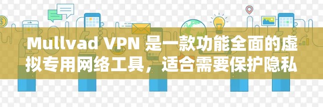 Mullvad VPN 是一款功能全面的虚拟专用网络工具,适合需要保护隐私和安全的用户。以下是对其功能和优势的详细分析