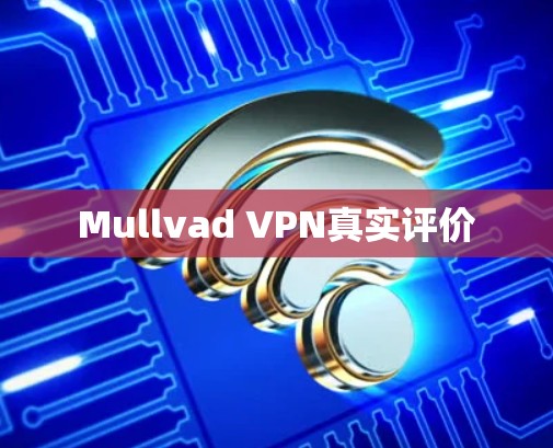 Mullvad VPN真实评价