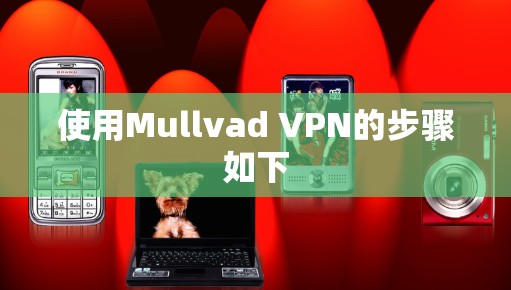 使用Mullvad VPN的步骤如下