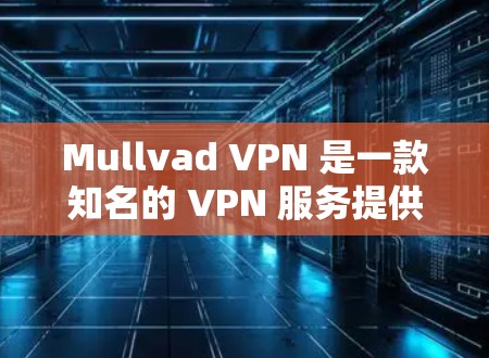 Mullvad VPN 是一款知名的 VPN 服务提供商，以下是基于多方面考虑的推荐排名和详细分析