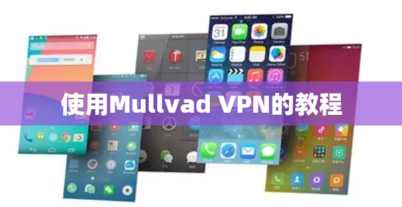 使用Mullvad VPN的教程