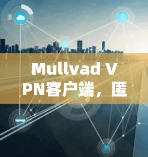 Mullvad VPN客户端，匿名性与速度的完美平衡