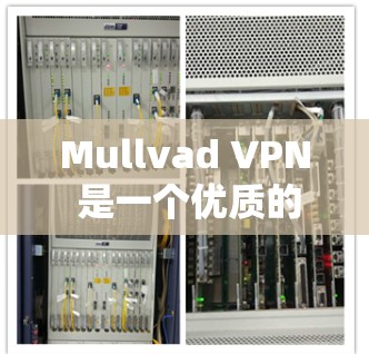 Mullvad VPN 是一个优质的选择，适合追求隐私和安全的用户。以下是对其的详细分析