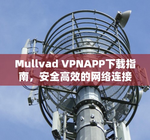 Mullvad VPNAPP下载指南，安全高效的网络连接解决方案