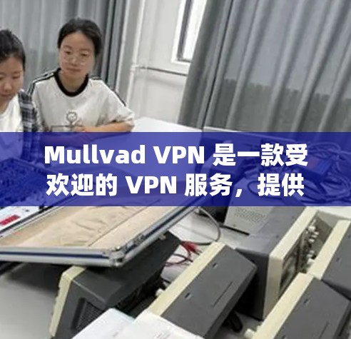 Mullvad VPN 是一款受欢迎的 VPN 服务，提供高安全性和隐私保护。以下是关于如何在电脑上使用 Mullvad VPN 的一些步骤和信息
