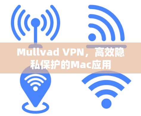 Mullvad VPN,高效隐私保护的Mac应用 Mullvad VPN,高效隐私保护的Mac应用