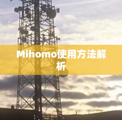 Mihomo使用方法解析 Mihomo使用方法解析