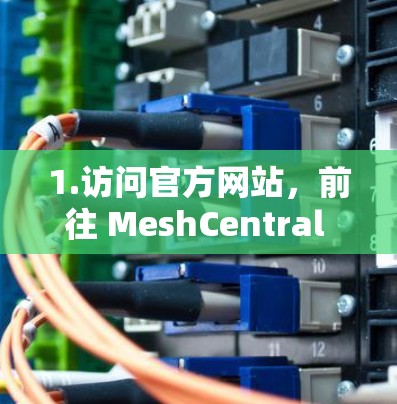 1.访问官方网站，前往 MeshCentral 的官方网站（通常是 meshcentral.io 或类似的域名）查找最新版本的发布信息