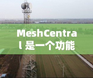 MeshCentral 是一个功能强大的网络管理工具，能够帮助用户监控和管理网络中的设备。以下是使用 MeshCentral 的基本方法