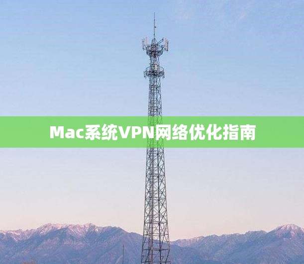 Mac系统VPN网络优化指南