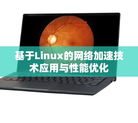 基于Linux的网络加速技术应用与性能优化 基于Linux的网络加速技术应用与性能优化
