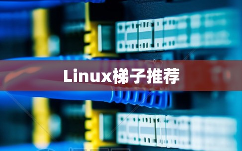 Linux梯子推荐