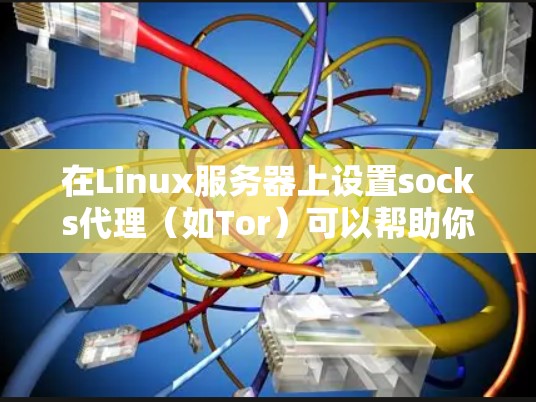 在Linux服务器上设置socks代理（如Tor）可以帮助你通过本地浏览器访问远程服务器或受限资源。以下是详细的步骤指南