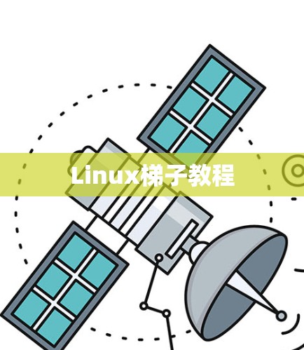 Linux梯子教程