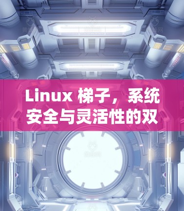 Linux 梯子，系统安全与灵活性的双重保障