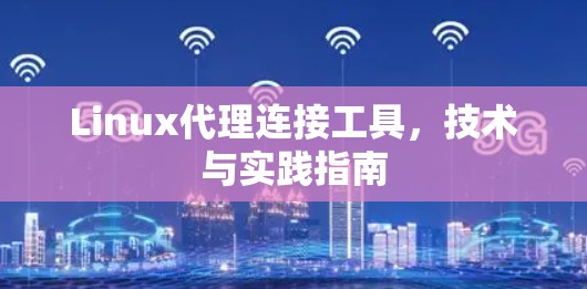 Linux代理连接工具,技术与实践指南 Linux代理连接工具,技术与实践指南