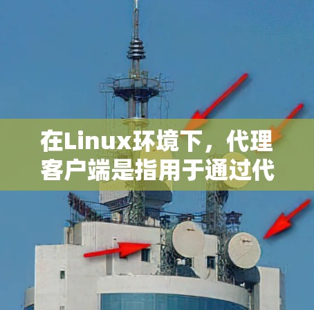 在Linux环境下，代理客户端是指用于通过代理服务器访问互联网或内部网络资源的工具或应用程序。以下是一些常用的Linux代理客户端和相关信息
