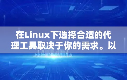 在Linux下选择合适的代理工具取决于你的需求。以下是根据不同需求推荐的代理工具