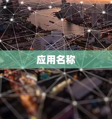 应用名称