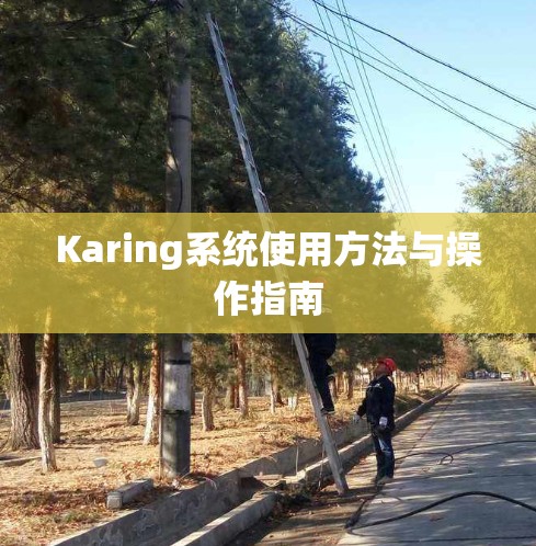 Karing系统使用方法与操作指南