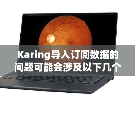 Karing导入订阅数据的问题可能会涉及以下几个方面，请按照以下步骤进行处理