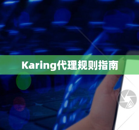 Karing代理规则指南 Karing代理规则指南
