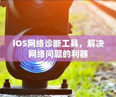 iOS网络诊断工具，解决网络问题的利器