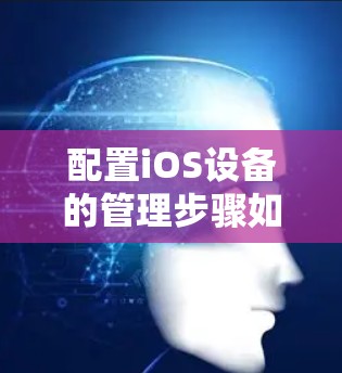 配置iOS设备的管理步骤如下