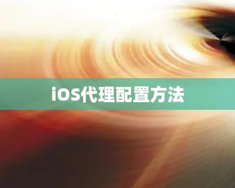 iOS代理配置方法