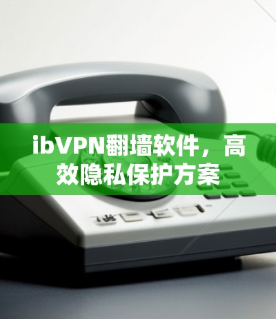 ibVPN翻墙软件，高效隐私保护方案