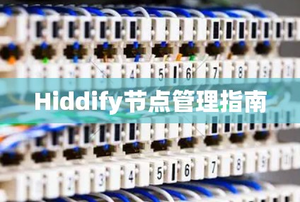 Hiddify节点管理指南
