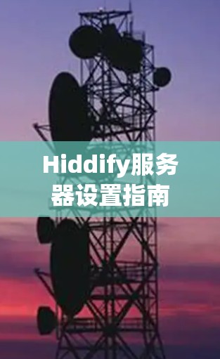 Hiddify服务器设置指南