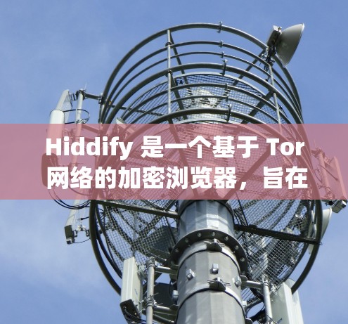 Hiddify 是一个基于 Tor 网络的加密浏览器，旨在提供隐私保护和匿名网络访问。安装 Hiddify 的过程可能会涉及一些技术细节，以下是一个简单的安装指南