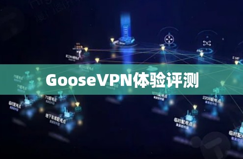 GooseVPN体验评测 GooseVPN体验评测