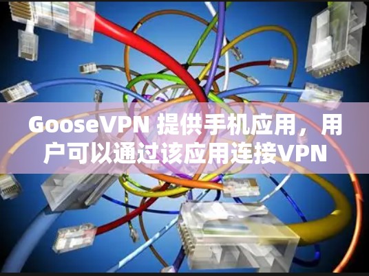GooseVPN 提供手机应用,用户可以通过该应用连接VPN服务。以下是关于 GooseVPN 手机应用的一些详细信息 GooseVPN 提供手机应用,用户可以通过该应用连接VPN服务。以下是关于 GooseVPN 手机应用的一些详细信息