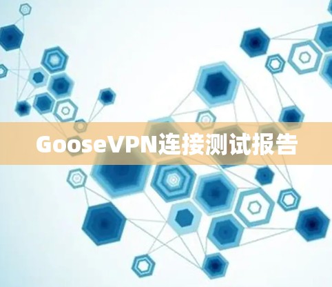 GooseVPN连接测试报告