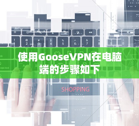 使用GooseVPN在电脑端的步骤如下