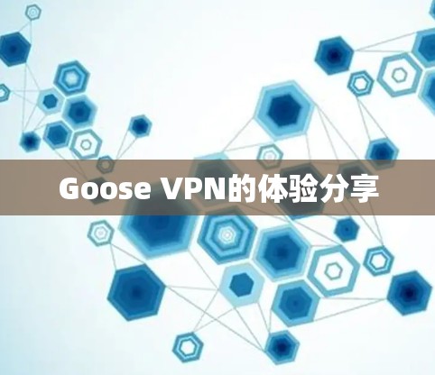 Goose VPN的体验分享