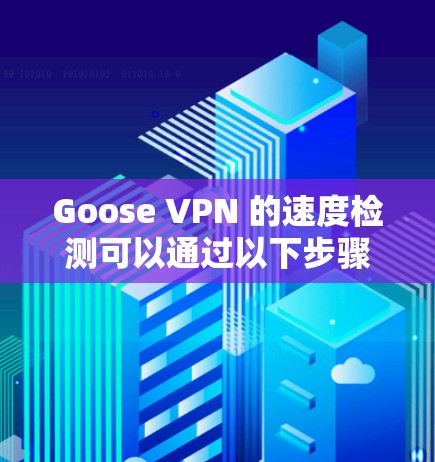 Goose VPN 的速度检测可以通过以下步骤进行