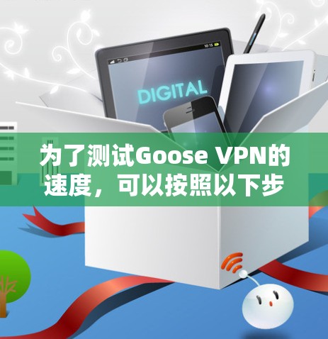 为了测试Goose VPN的速度，可以按照以下步骤进行