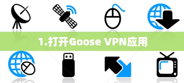 1.打开Goose VPN应用 1.打开Goose VPN应用